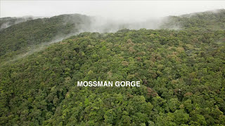 Take virtual tour through the Daintree  Mossman Gorge [upl. by Akvir]