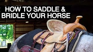 HOW TO TACK UP YOUR HORSE WESTERN [upl. by Sonitnatsnoc]