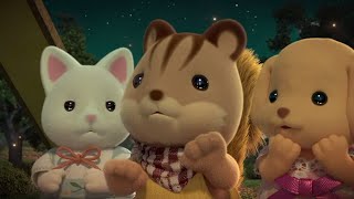 Clearing The Rumours 👀Calico Critters [upl. by Annairda]