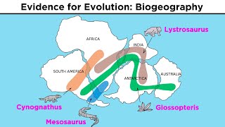 The Evolution of Populations Natural Selection Genetic Drift and Gene Flow [upl. by Clarice]