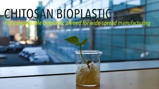 Chitosan Bioplastic [upl. by Anytsirk]