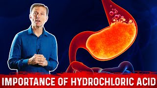 The Importance of Hydrochloric acid HCL in the Stomach – Dr Berg [upl. by Wanda311]