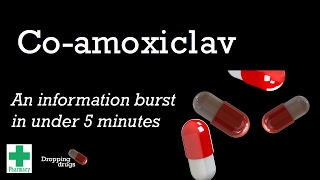 Coamoxiclav information burst [upl. by Ingaberg]