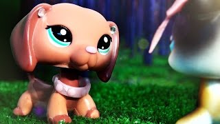 LPS Summertime Beauty Film [upl. by Dinsmore875]