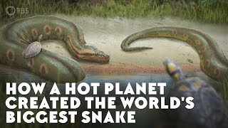 How a Hot Planet Created the Worlds Biggest Snake [upl. by Judson]