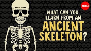 What can you learn from ancient skeletons  Farnaz Khatibi [upl. by Swanhildas753]