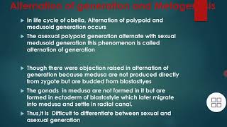 what is an alternation of generation or Metagenesis in obelia [upl. by Neroled]