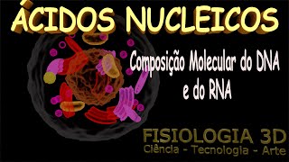 Aula 23  Ácidos Nucleicos DNA e RNA [upl. by Disini]