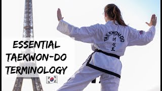 Essential Taekwondo Terminology🥋in Korean🇰🇷part 1 [upl. by Allenotna]