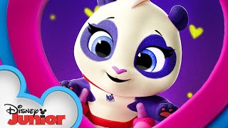 Precious the Panda 🐼 Calling All TOTS  TOTS  Disney Junior [upl. by Conrad547]