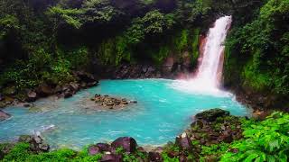 Rio Celeste Waterfall  Tenorio Volcano National Park Costa Rica [upl. by Tengdin]