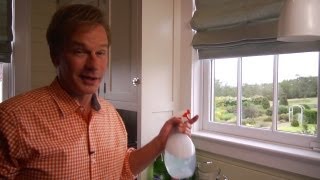 Homemade Window Cleaner  At Home With P Allen Smith [upl. by Adore]