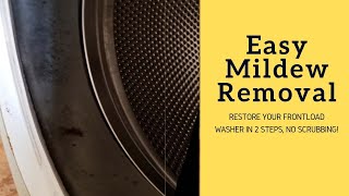 How to Remove Mildew From Frontload Washer the Easy Way [upl. by Nyleek445]