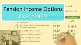 Pension Benefit Options Explained [upl. by Neelear]