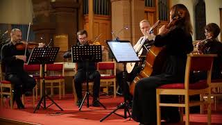 Farewell to Stromness for Guitar and String Quartet [upl. by Aratak]