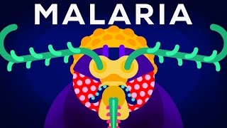 Genetic Engineering and Diseases – Gene Drive amp Malaria [upl. by Aynotahs841]