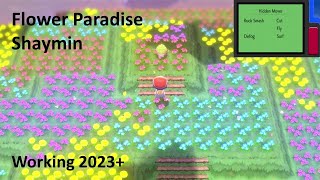 BDSP Shaymin Glitch in 2023  Future Proof [upl. by Dasie368]