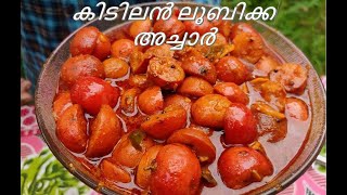 രുചികരമായ ലൂബിക്ക അച്ചാര്‍  Lololikka Achar  Lubikka [upl. by Schweitzer]