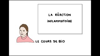 La réaction inflammatoire [upl. by Rima595]