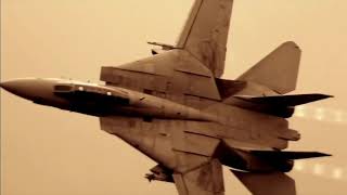 f 14 TOMCAT TRIBUTE [upl. by Davie689]