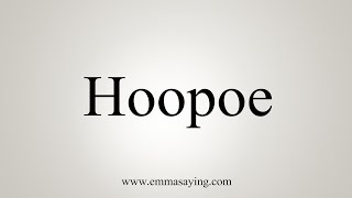 How To Say Hoopoe [upl. by Jabez343]