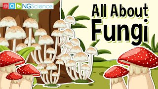 All About Fungi [upl. by Nesrac]