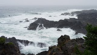 Sonido de Lluvia y Olas del Mar para Dormir y Relajarse  Meditación [upl. by Isadora]