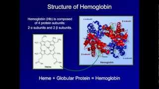 Dyshemoglobinemia Methemoglobin and Carbon Monoxide Poisoning ABG Interpretation  Lesson 19 [upl. by Nacul]