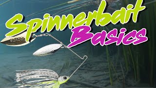 Bass Fishing Basics How To Fish A Spinnerbait [upl. by Siouxie]