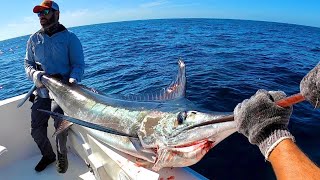 Pesca de Marlin Rayado en Mazatlán 100 lbs [upl. by Eliga]