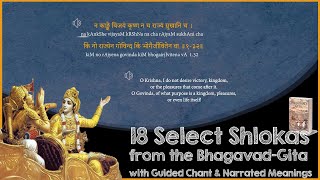 18 Most Important Shlokas of Bhagavad Gita  With Narrated Meanings [upl. by Azarcon]