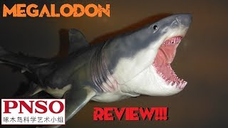 2019 PNSO Megalodon Review [upl. by Haikan175]