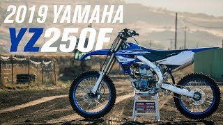 2019 Yamaha YZ250F  First Impressions [upl. by Marti]