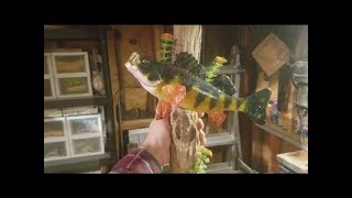 DIY Fiberglass Resin Taxidermy Fish Mount [upl. by Palmer]