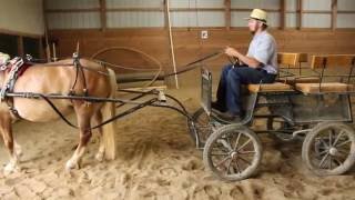 Harnessing amp Driving A Horse  Part 7 Properly Get In amp Off Buggy [upl. by Sheelah]