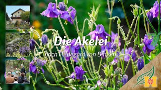 Die Akelei bei Hildegard von Bingen [upl. by Dominy]