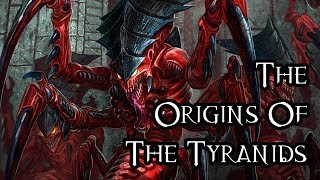 The Origins Of The Tyranids  40K Theories [upl. by Erb728]