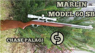 Marlin model 60 SB 22 Rifle Review [upl. by Akkeber]