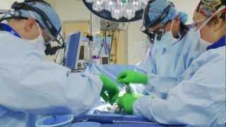 Hip Replacement Surgery Explained [upl. by Brag288]