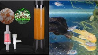 simple cheap and easy hatchery for brine shrimp eggs  easy artemia kit to hatch brine shrimps [upl. by Elane]