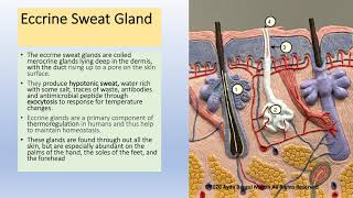 Spiradenoma amp CylindromaSweat Gland Tumor Pathology [upl. by Enneirb]