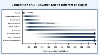 Interpretation of LFTs Liver Function Tests [upl. by Ricki]