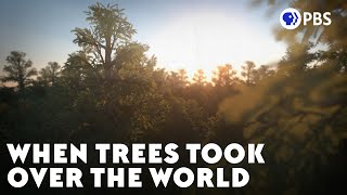 When Trees Took Over the World [upl. by Friederike]