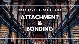 Attachment amp Bonding Intro Psych Tutorial 180 [upl. by Akerdnuhs339]