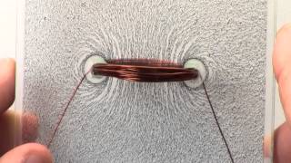 PH EM MF DEMO 70001A V1025 2D Magnetic Field Demonstrations Simple Wire Coils [upl. by Shannan]