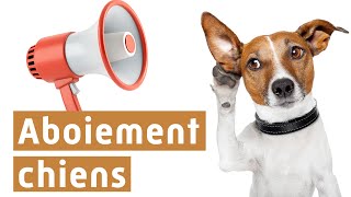 Aboiement chiens [upl. by Atinra]