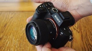 Sigma 56mm f14 DC DN C lens review with samples [upl. by Annahsohs]