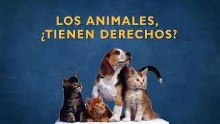 Los animales ¿tienen derechos [upl. by Aranahs]