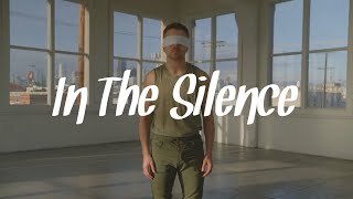 In The Silence  Michael Dameski [upl. by Enelyam]