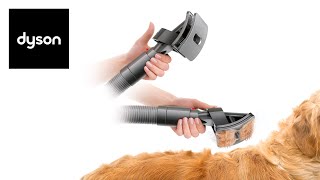 Messfree vacuumassisted dog grooming See the Dyson Groom tool in use [upl. by Glantz259]